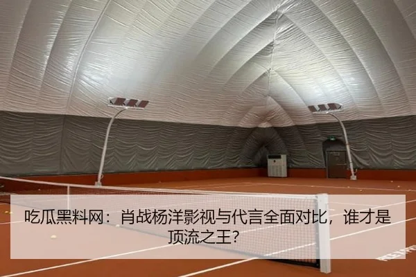 吃瓜黑料网：肖战杨洋影视与代言全面对比，谁才是顶流之王？